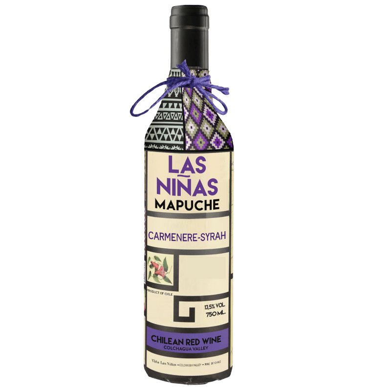 Las-Ninas-Mapuche-Ensamblaje